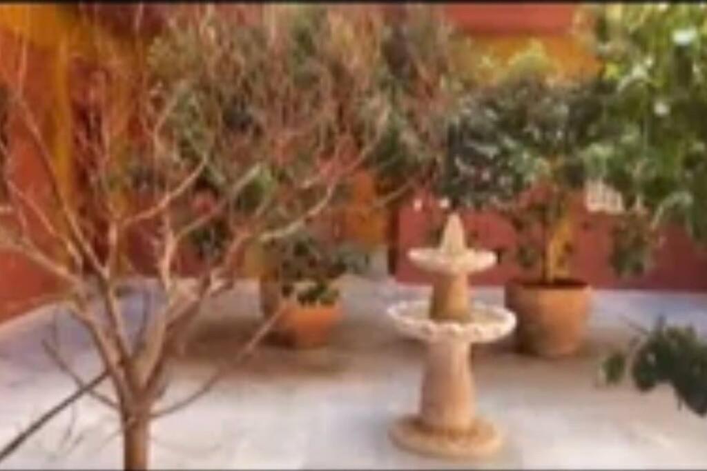 Relator Apartamento