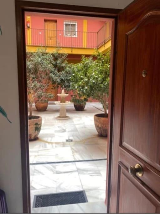 Relator * Sevilla